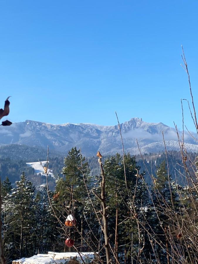 Pensiunea Ioana Ruginesti Luaran gambar