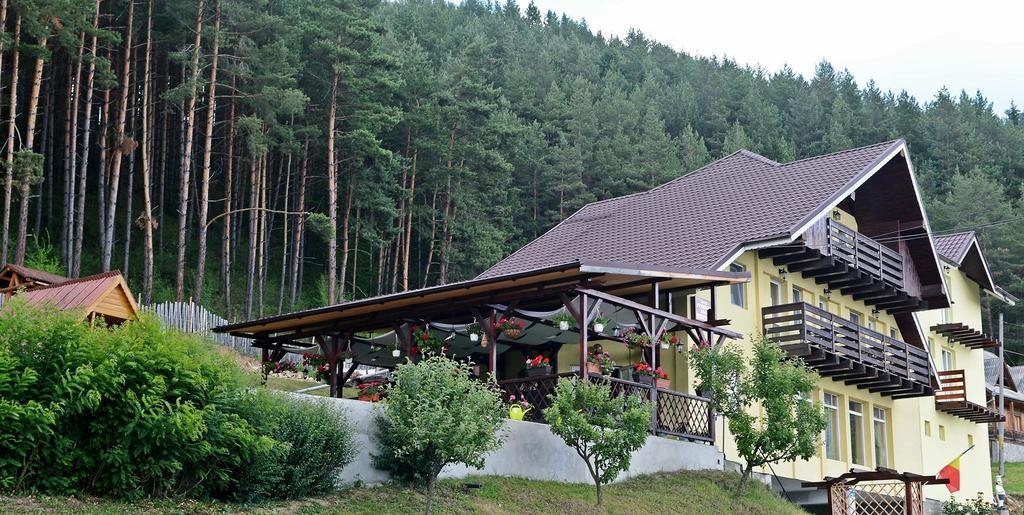 Pensiunea Ioana Ruginesti Luaran gambar
