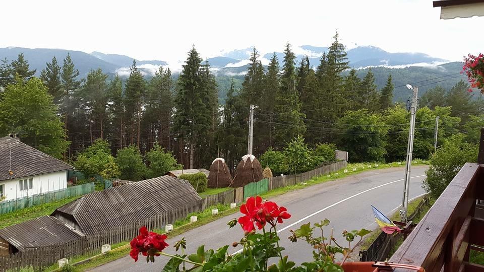 Pensiunea Ioana Ruginesti Luaran gambar