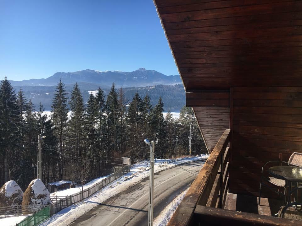 Pensiunea Ioana Ruginesti Luaran gambar