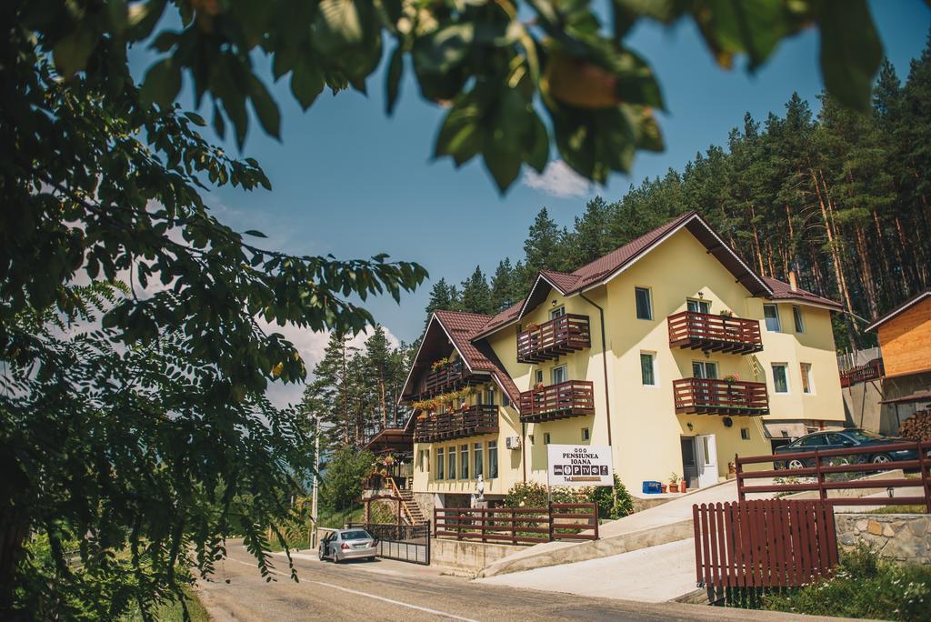 Pensiunea Ioana Ruginesti Luaran gambar