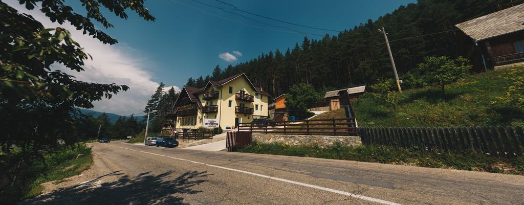 Pensiunea Ioana Ruginesti Luaran gambar