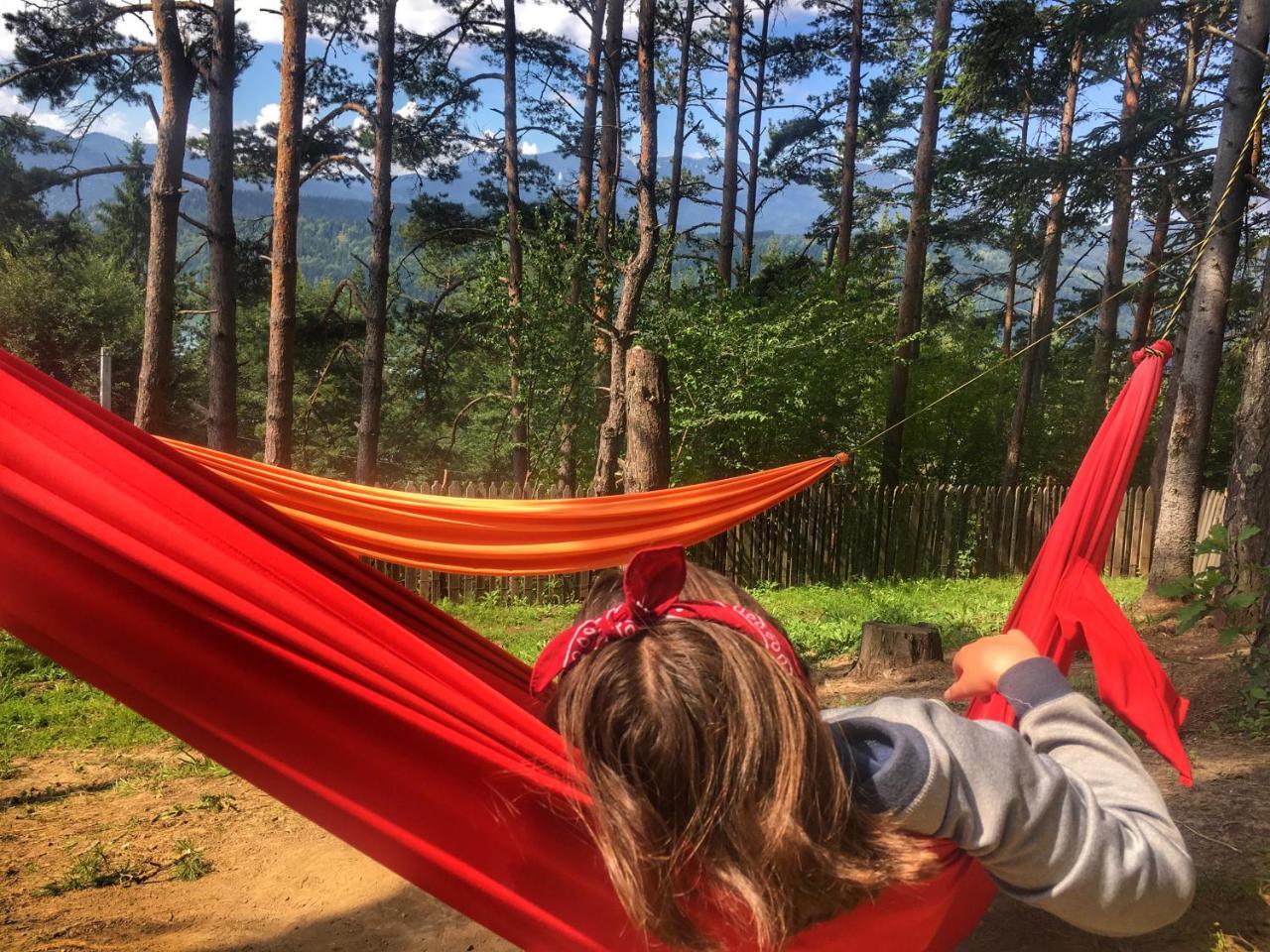 Pensiunea Ioana Ruginesti Luaran gambar